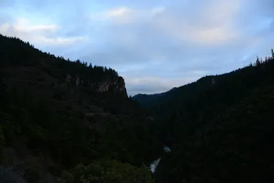 DSC_0953 (Large).JPG